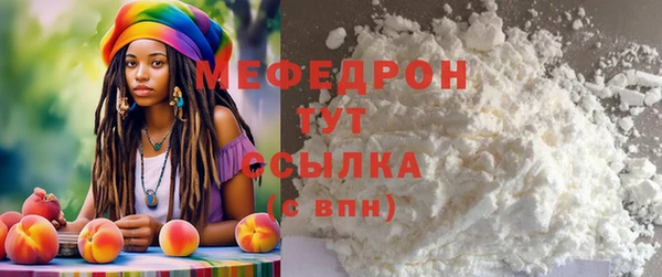 spice Богородицк